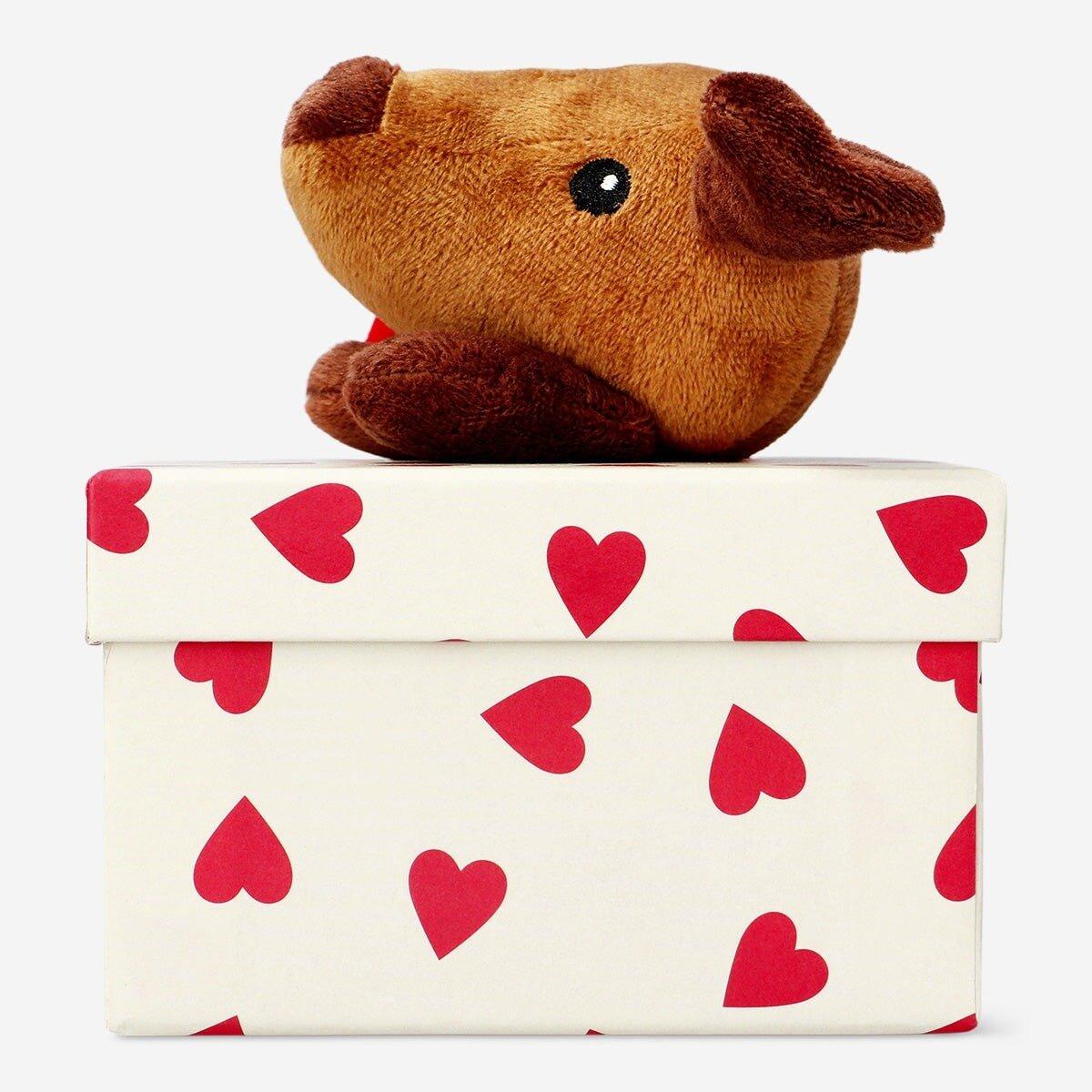 Multicolour gift box with plush sausage dog