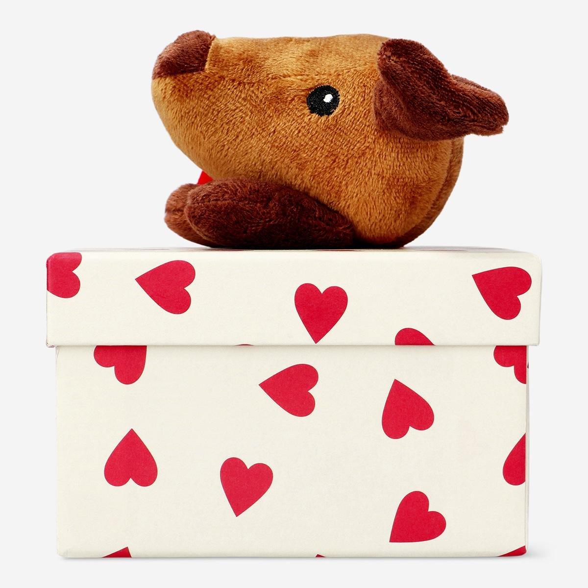 Multicolour gift box with plush sausage dog