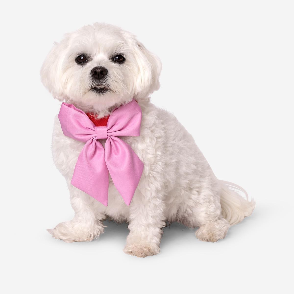Pink adjustable pet collar with bow