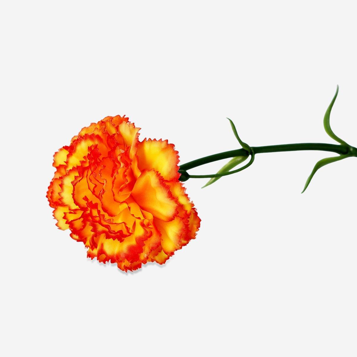 Multicolour decorative orange flower