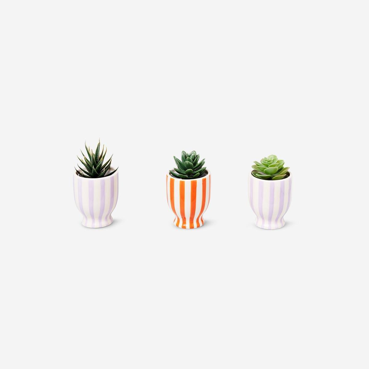 Multicolour Potted Faux Succulents, 3 Pcs