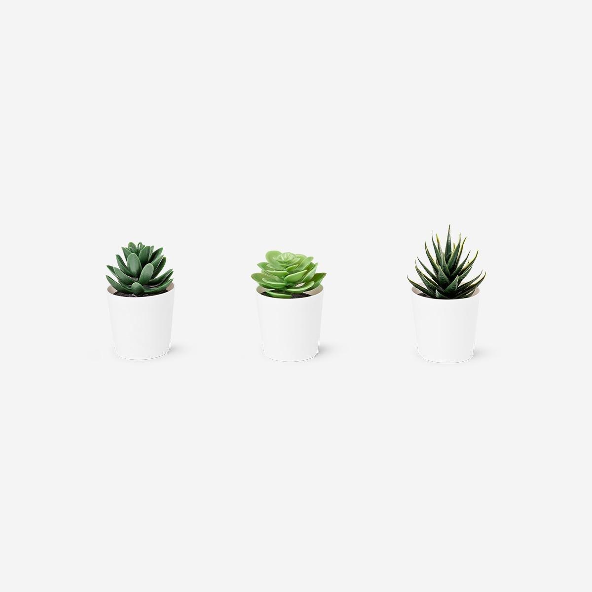 Multicolour Potted Faux Succulents, 3 Pcs