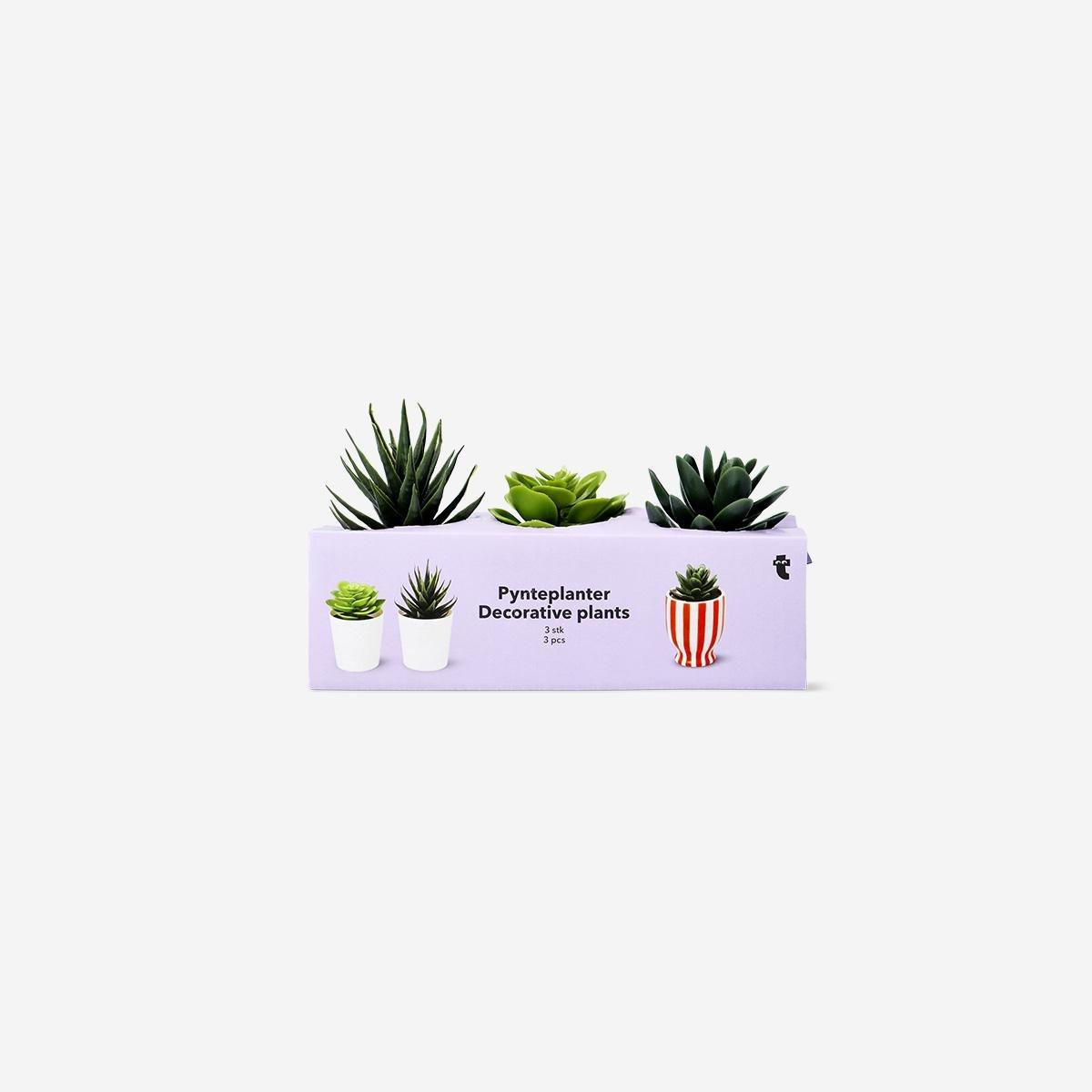 Multicolour Potted Faux Succulents, 3 Pcs