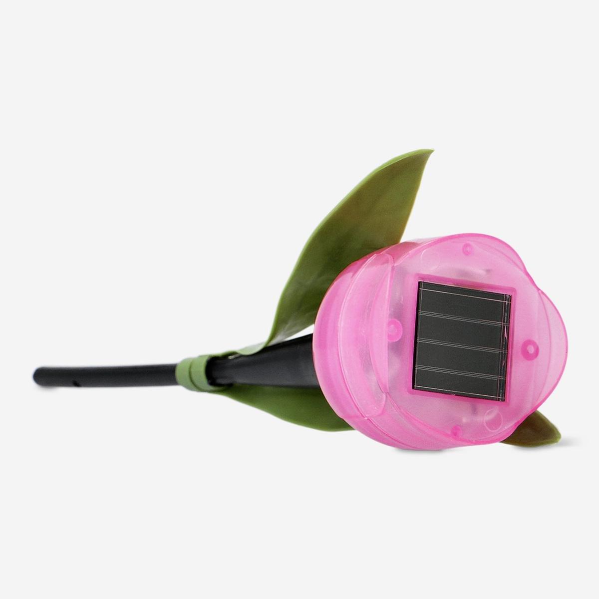 Pink Glowing Solar Cell Flower