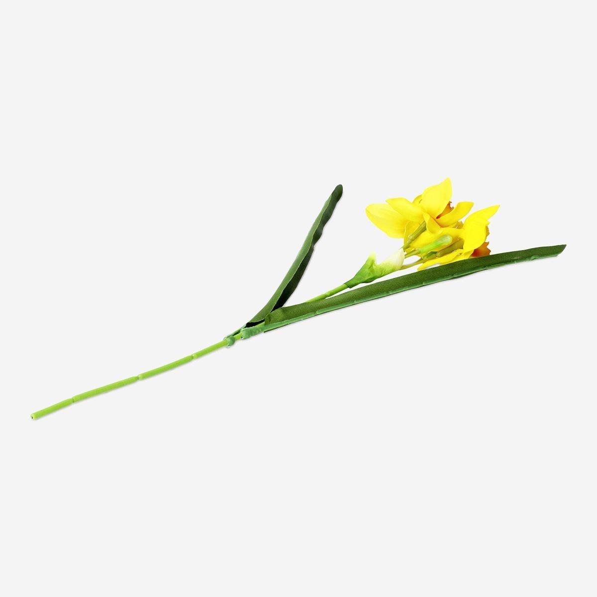 Yellow Decorative Yellow Flower