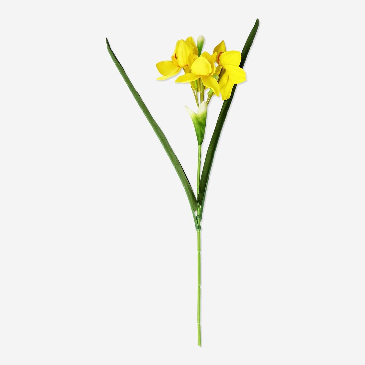 Yellow Decorative Yellow Flower