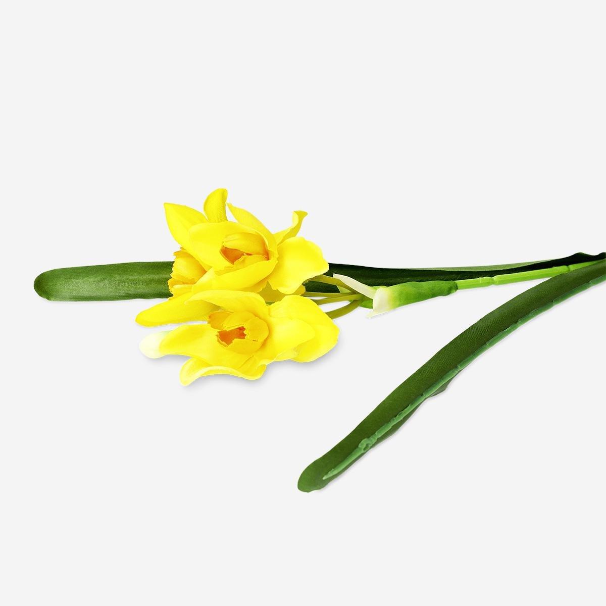 Yellow Decorative Yellow Flower