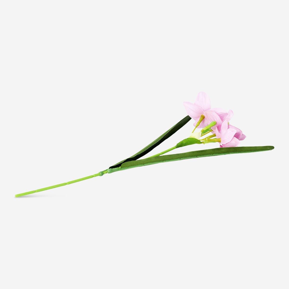 Pink Decorative Flower
