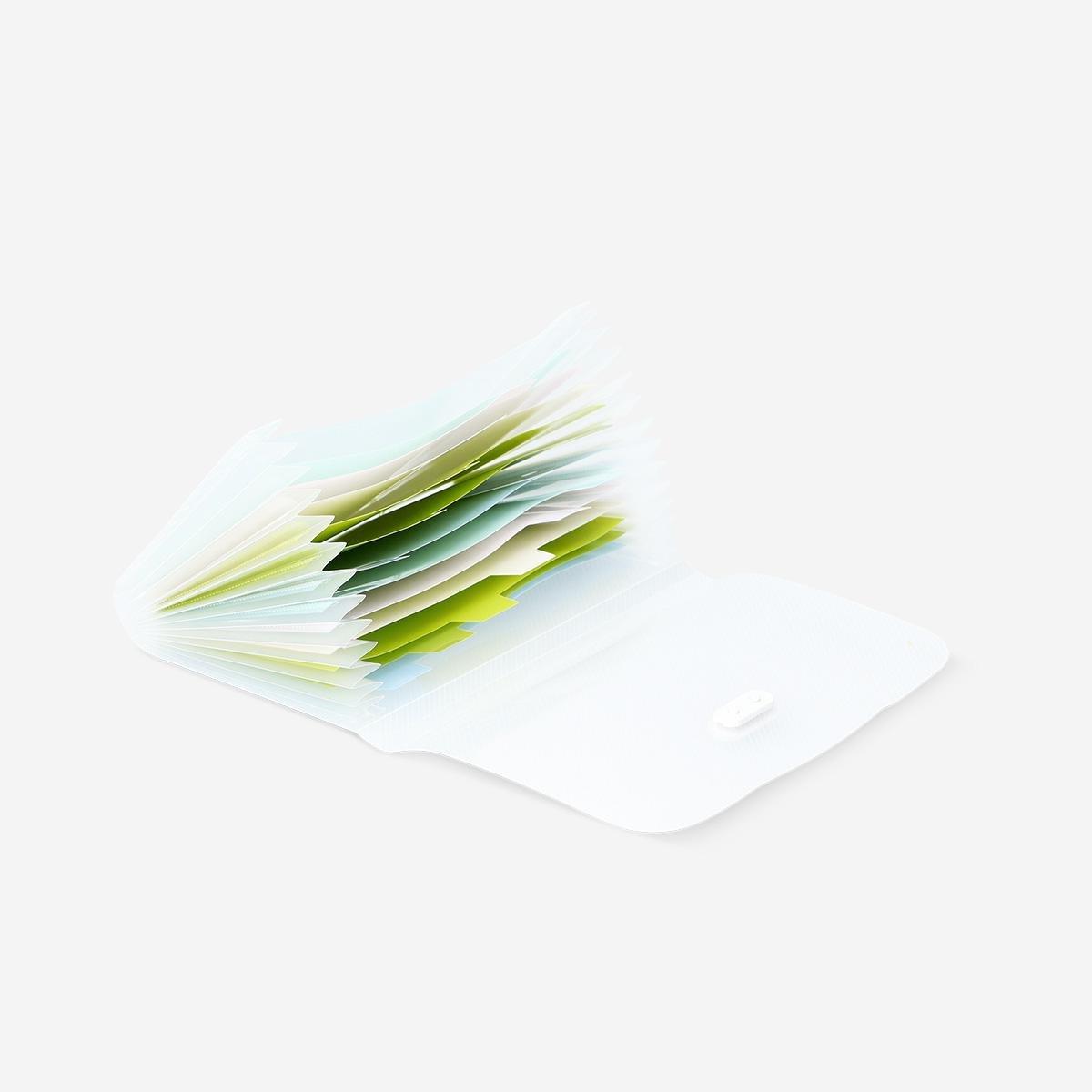 Multicolour Flash Card Organiser