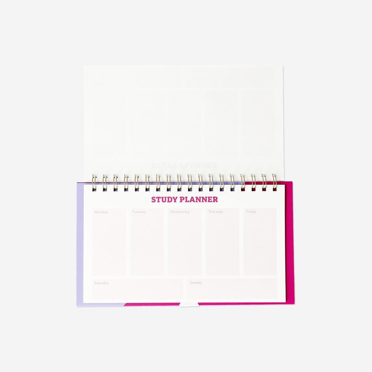 Multicolour Study Planner For Desk