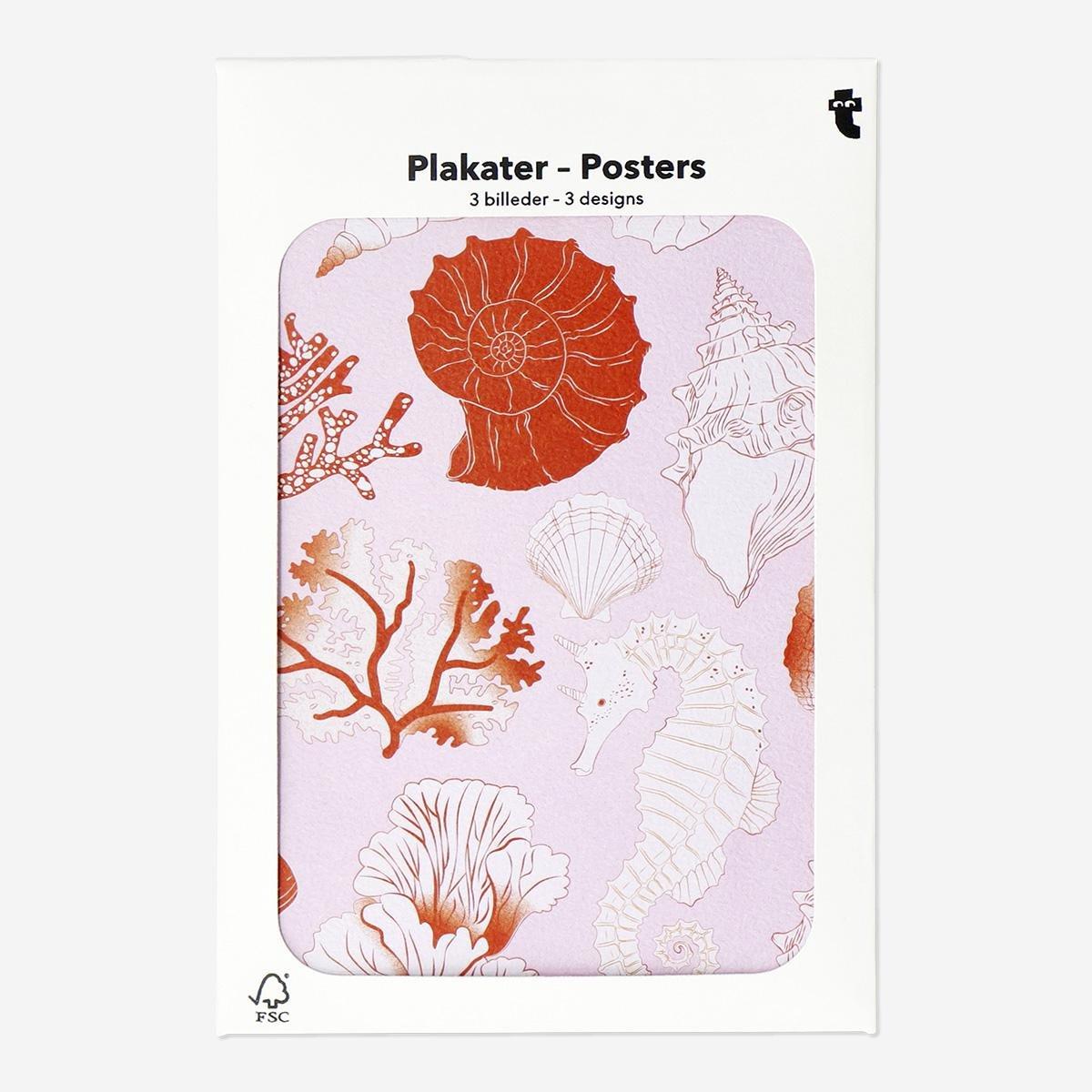 Multicolour Nautical Posters . 3Pcs