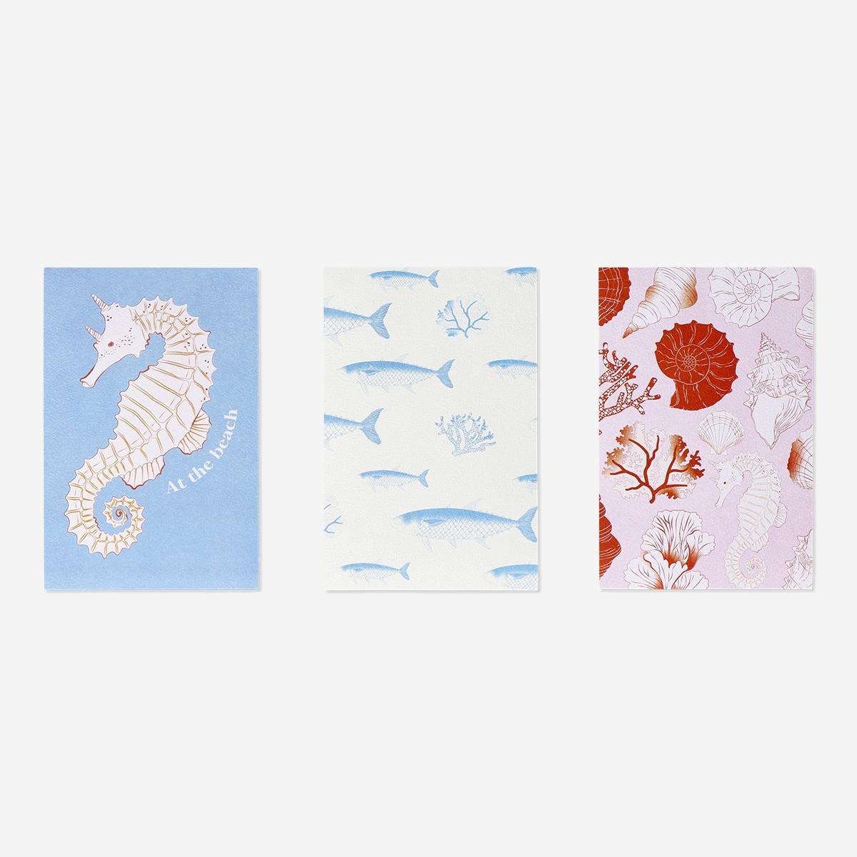Multicolour Nautical Posters . 3Pcs