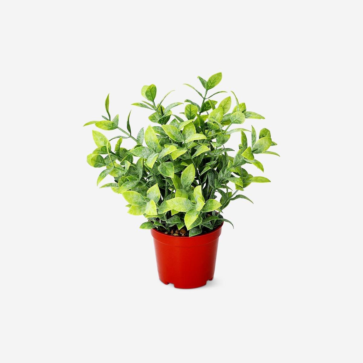 Green Decorative Artificial Plant