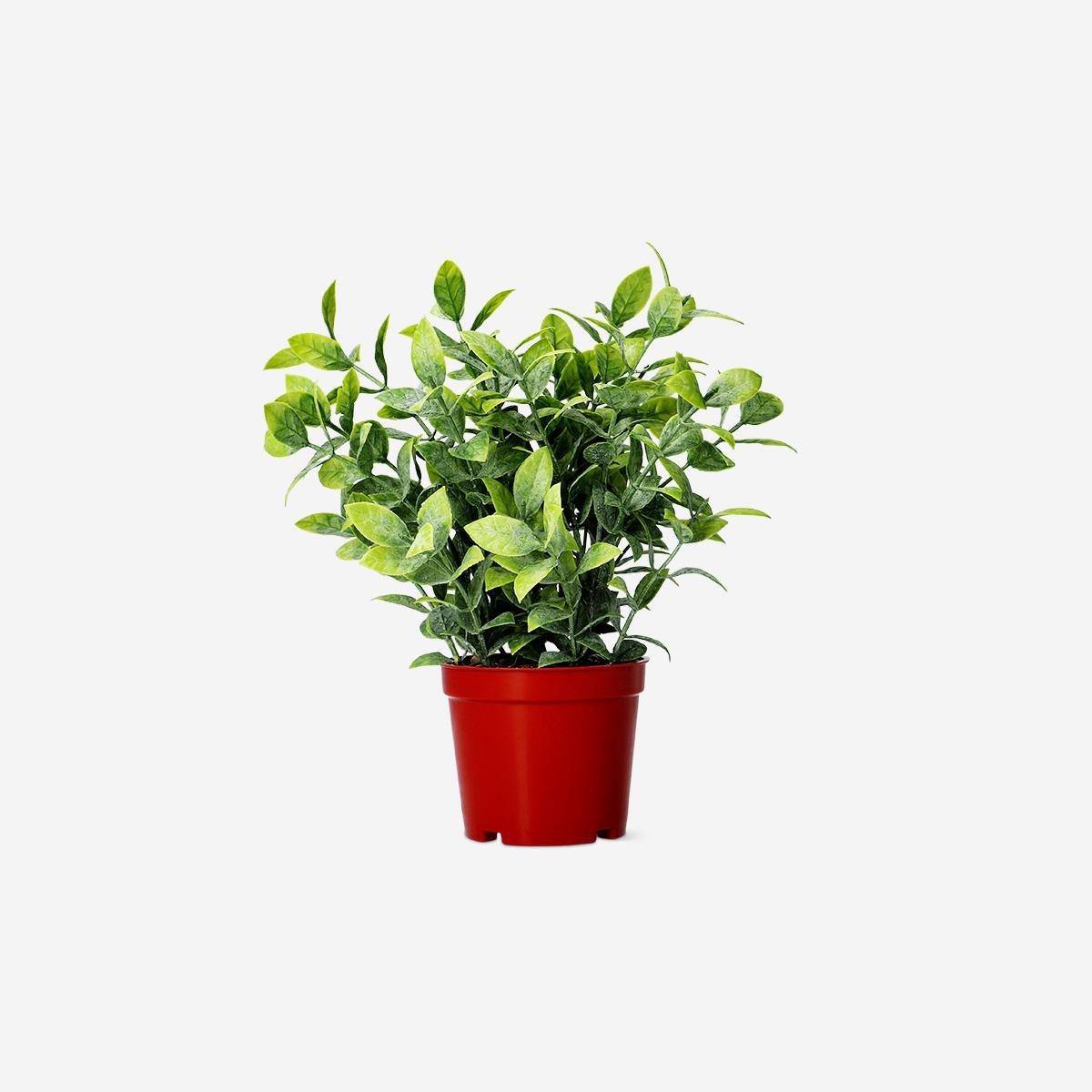 Green Decorative Artificial Plant