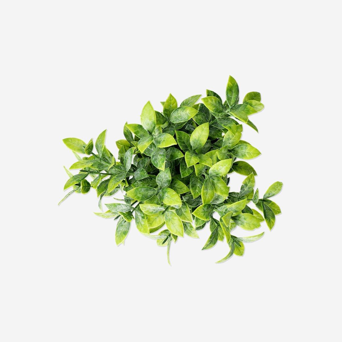 Green Decorative Artificial Plant