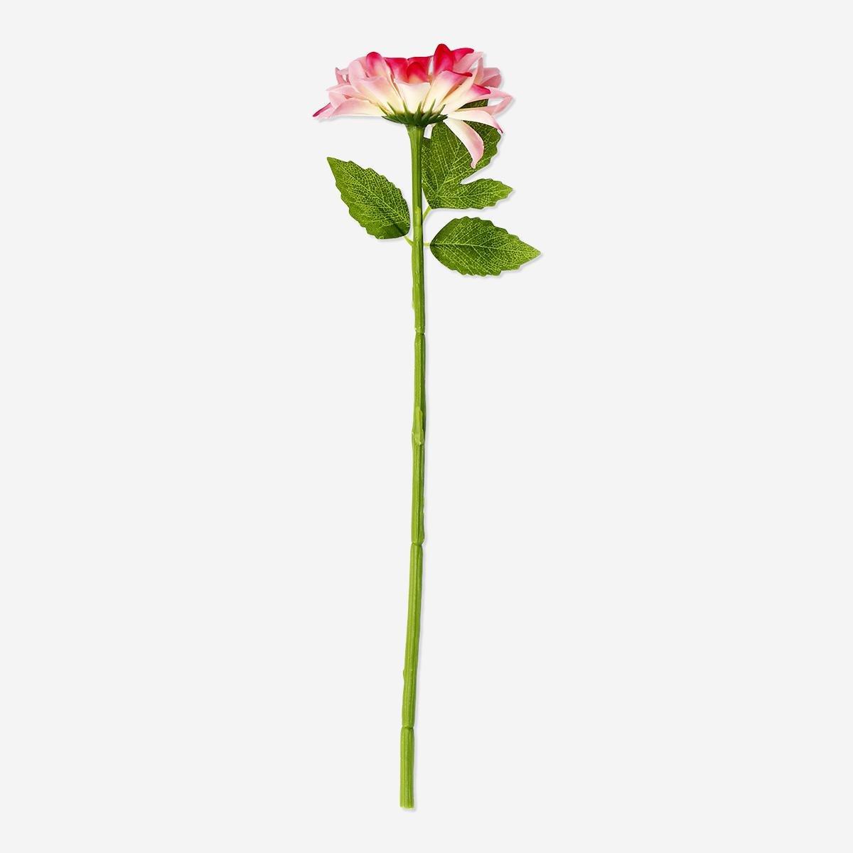 Pink Decorative Flower