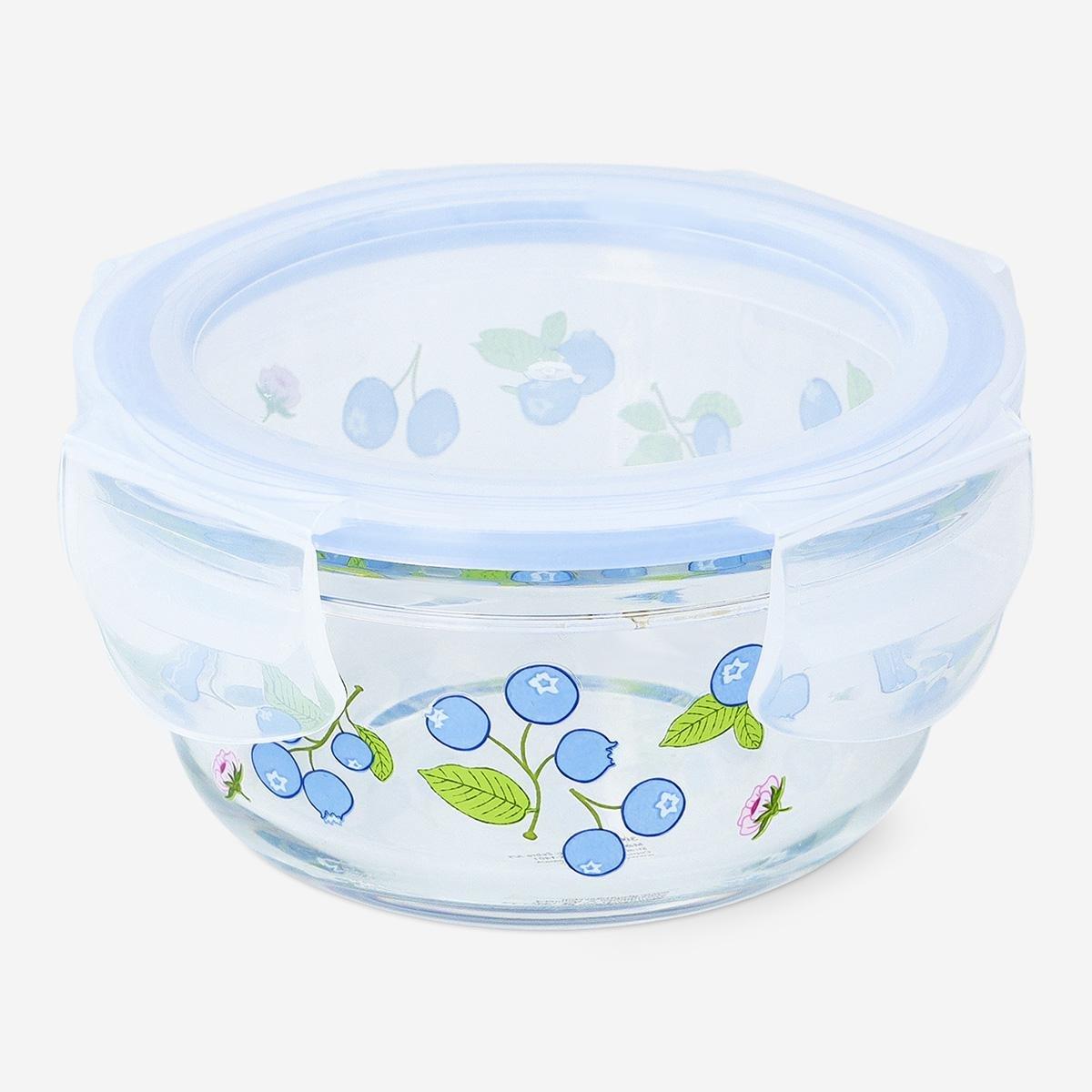 Multicolour Blueberry Glass Food Container Small