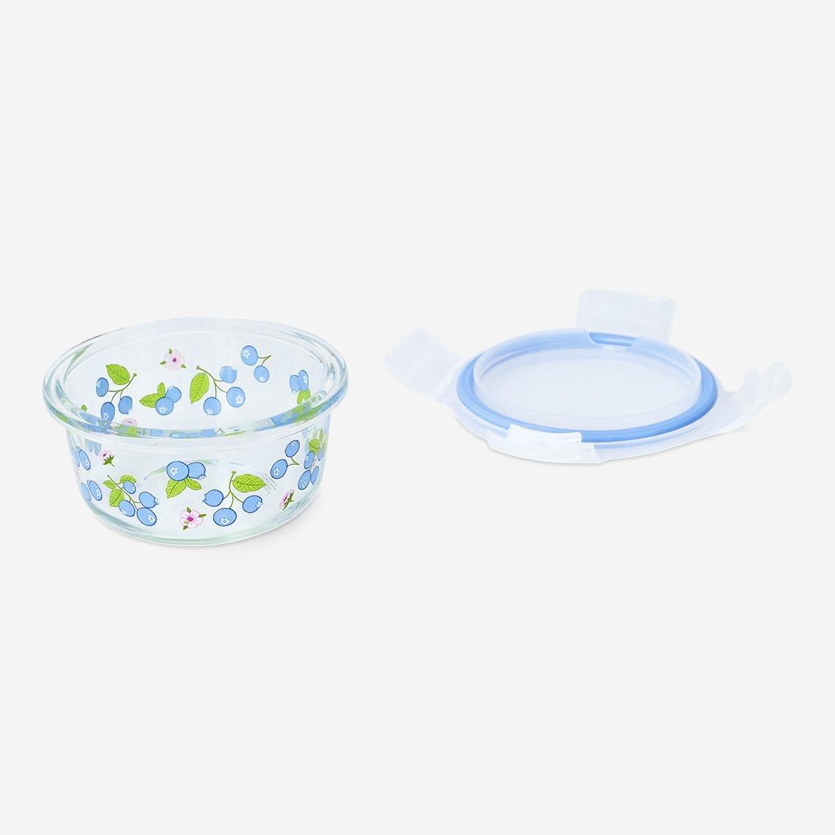 Multicolour Blueberry Glass Food Container Small