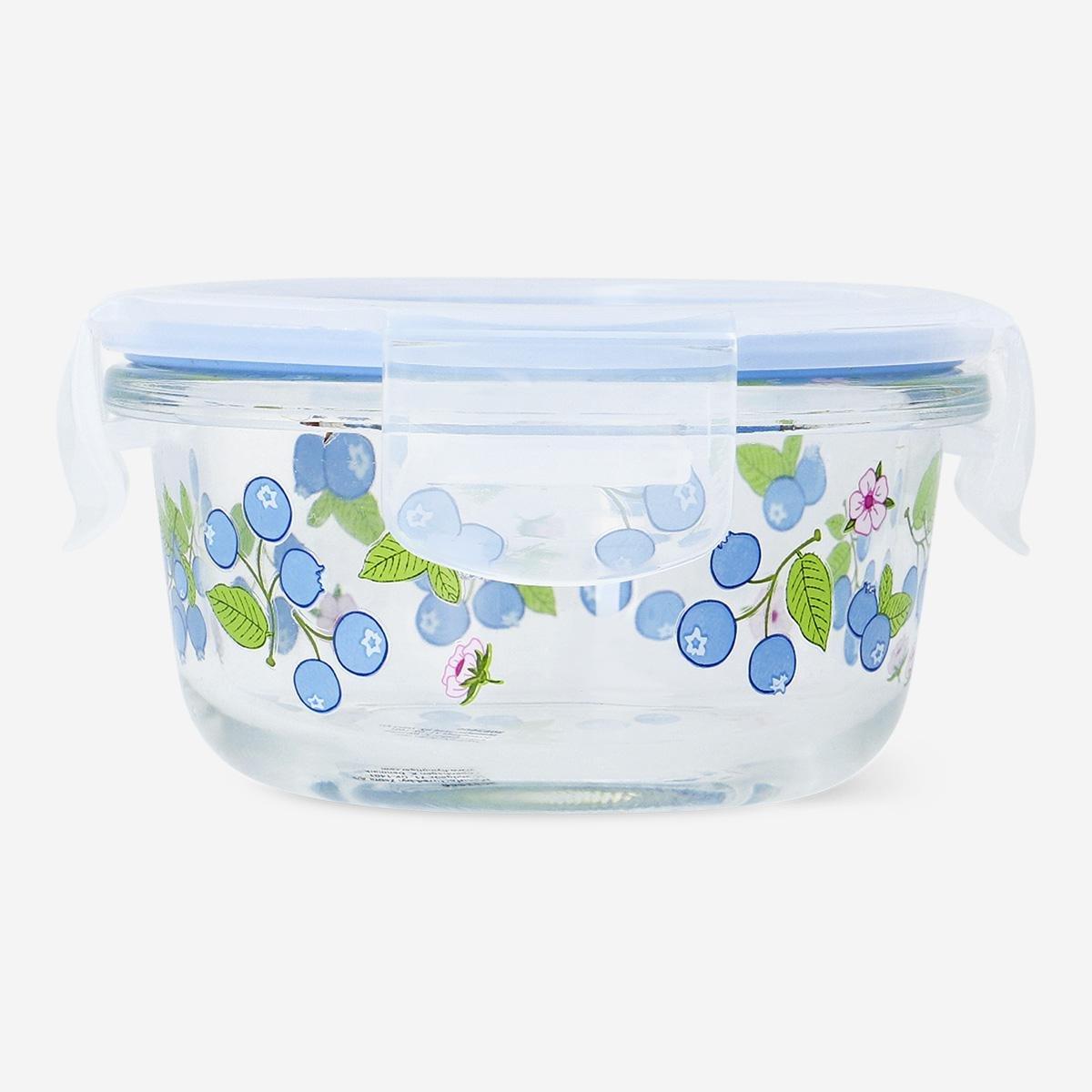 Multicolour Blueberry Glass Food Container Small