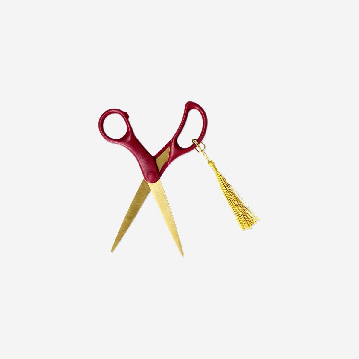 Multicolour Floral Scissors