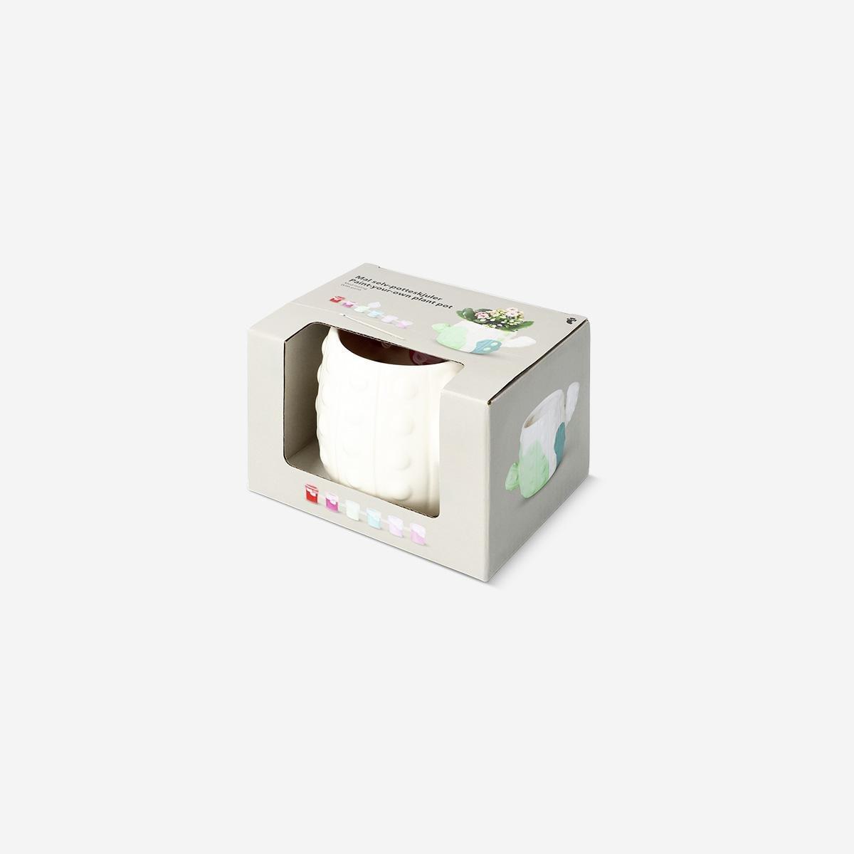 Multicolour Diy Cactus Plant Pot
