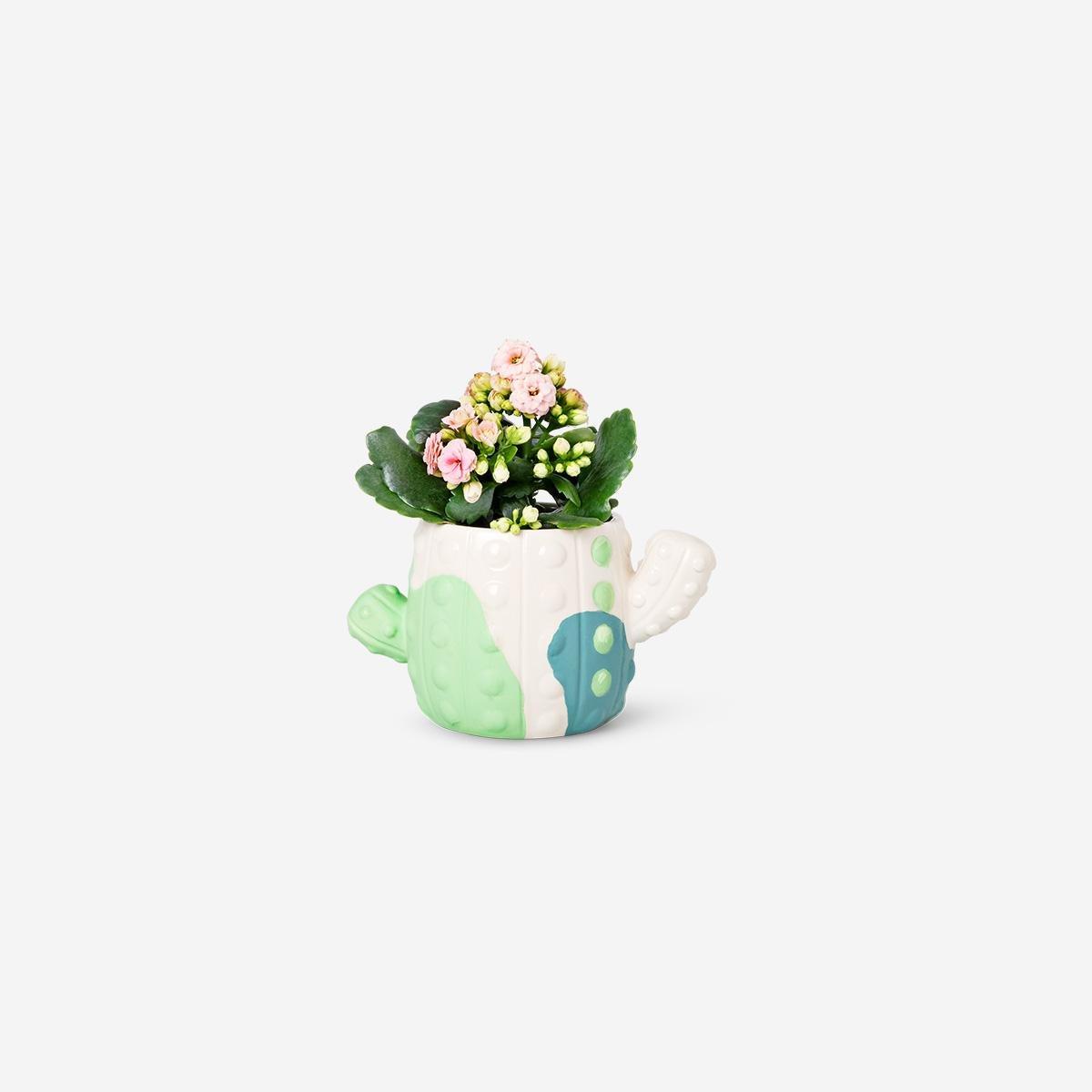 Multicolour Diy Cactus Plant Pot