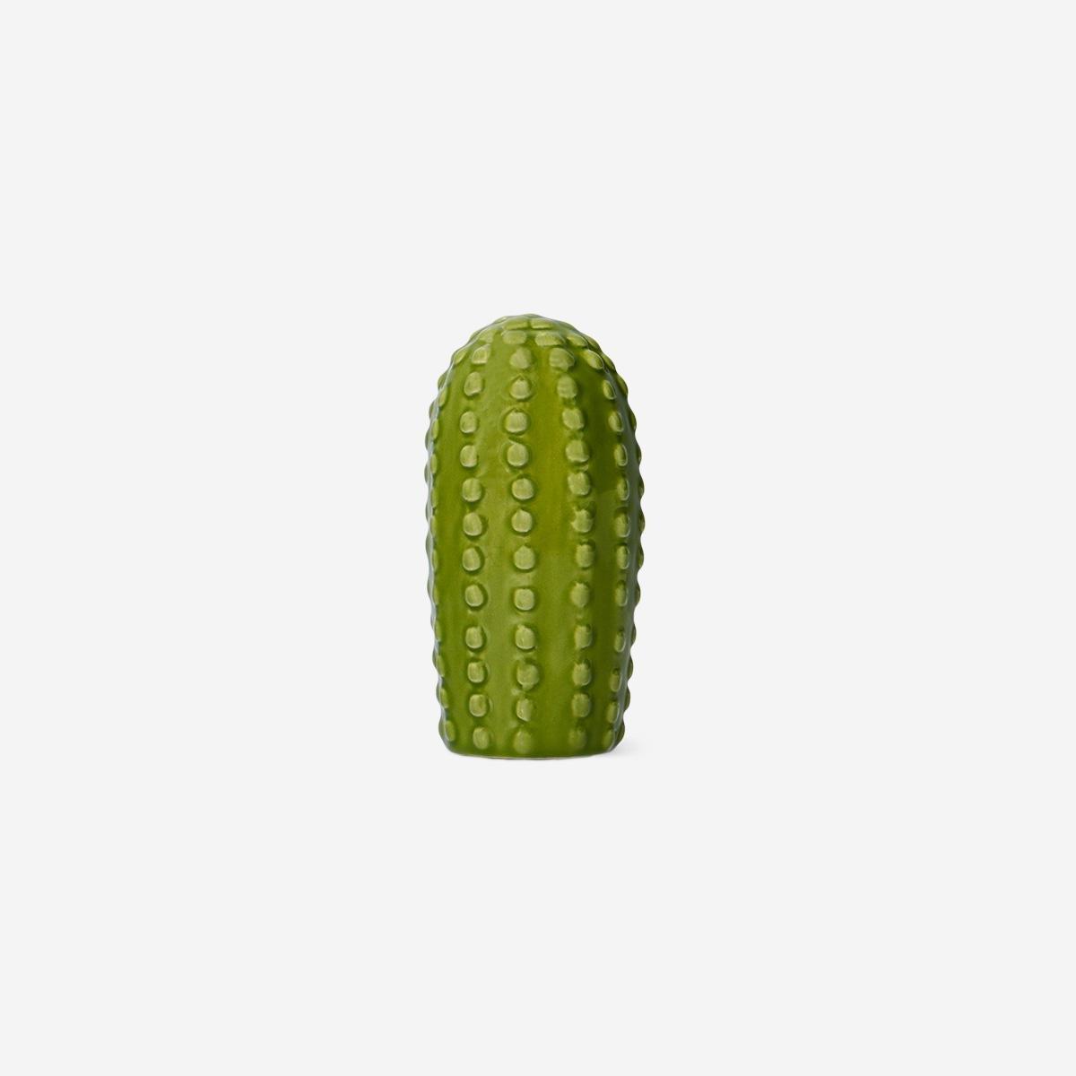 Green Decorative Cactus - 10 Cm