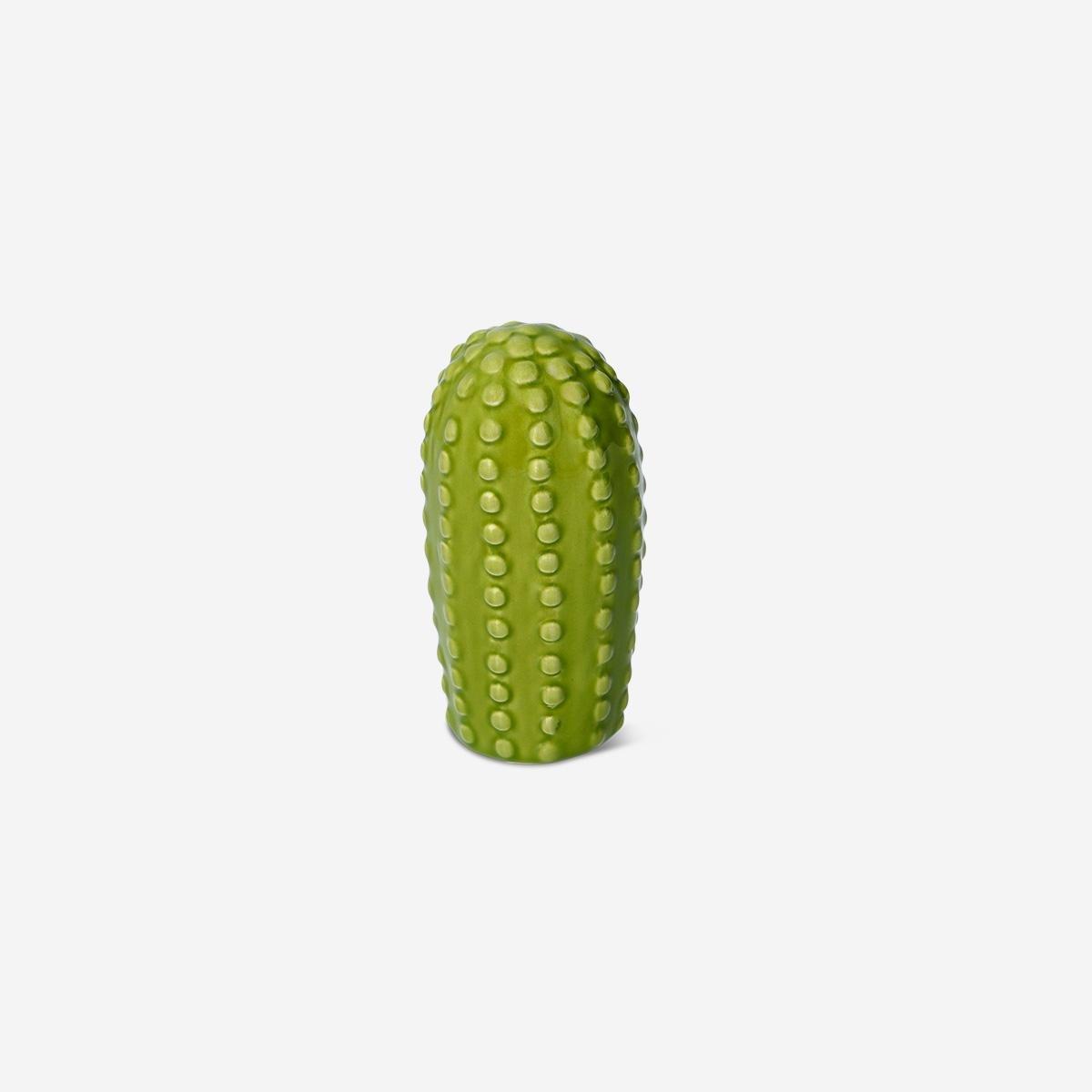 Green Decorative Cactus - 10 Cm