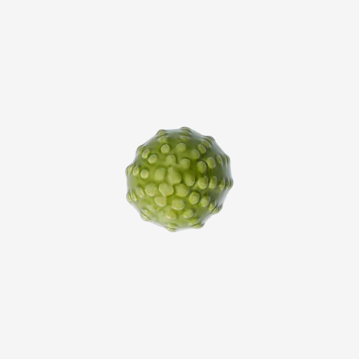 Green Decorative Cactus - 10 Cm