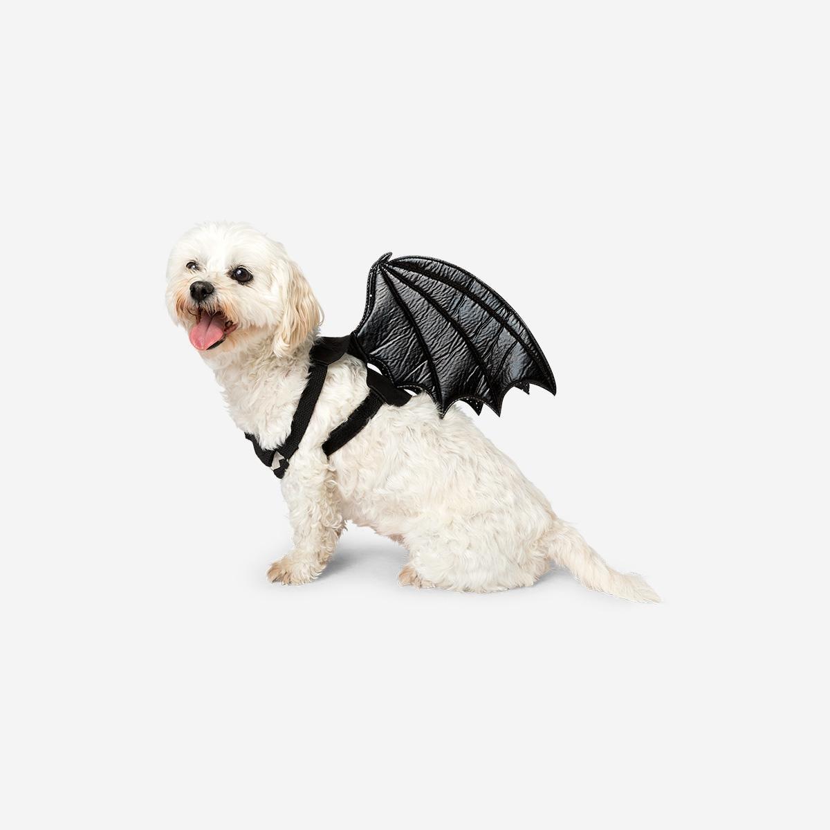 Black Pet Costume - Bat Wings