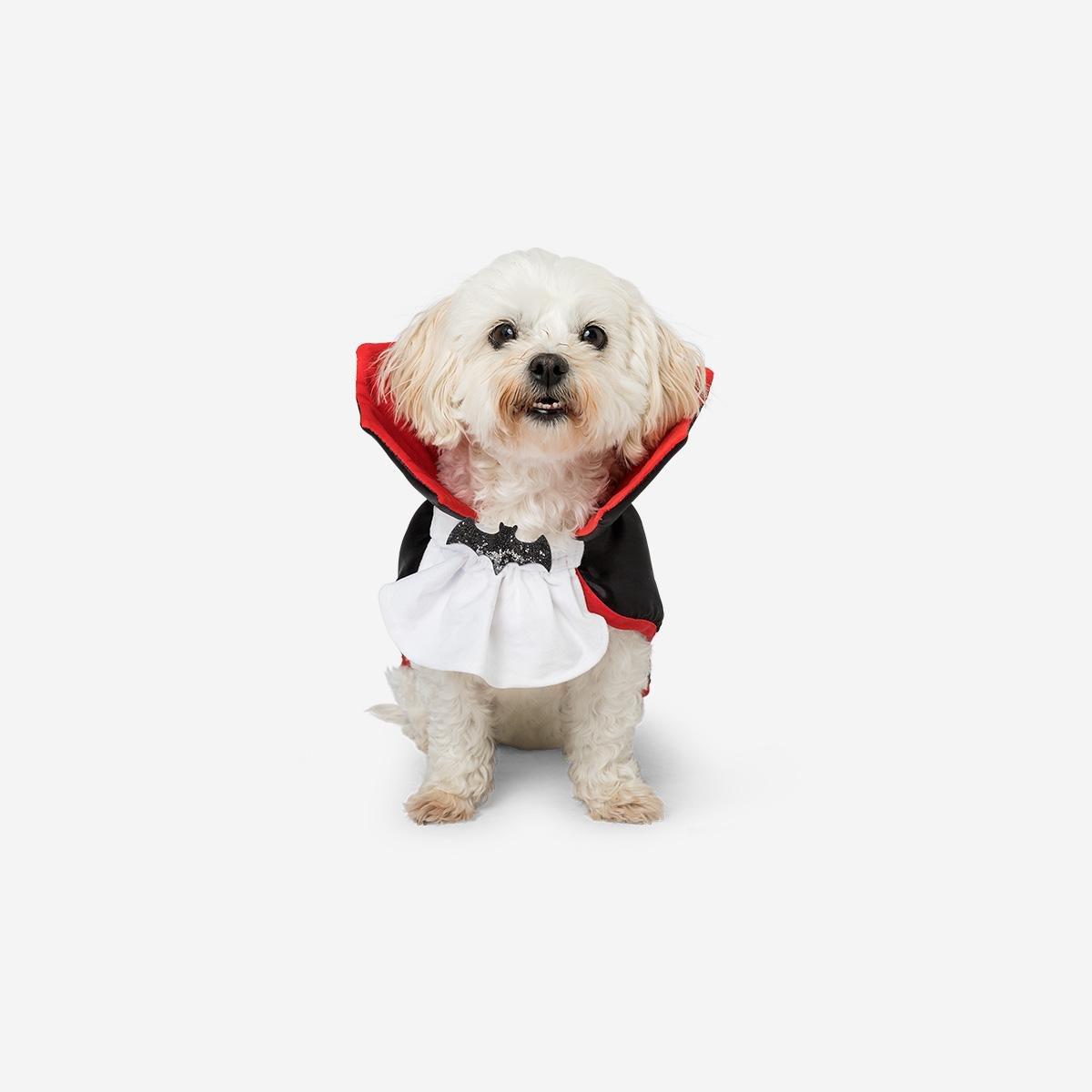 Black Pet Costume - Dracula
