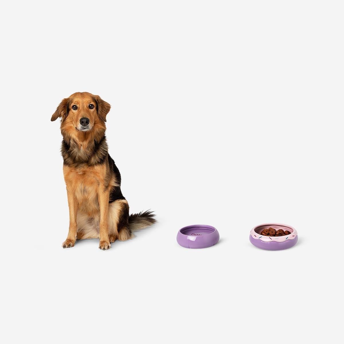 Multicolour Doughnut Pet Bowls Set
