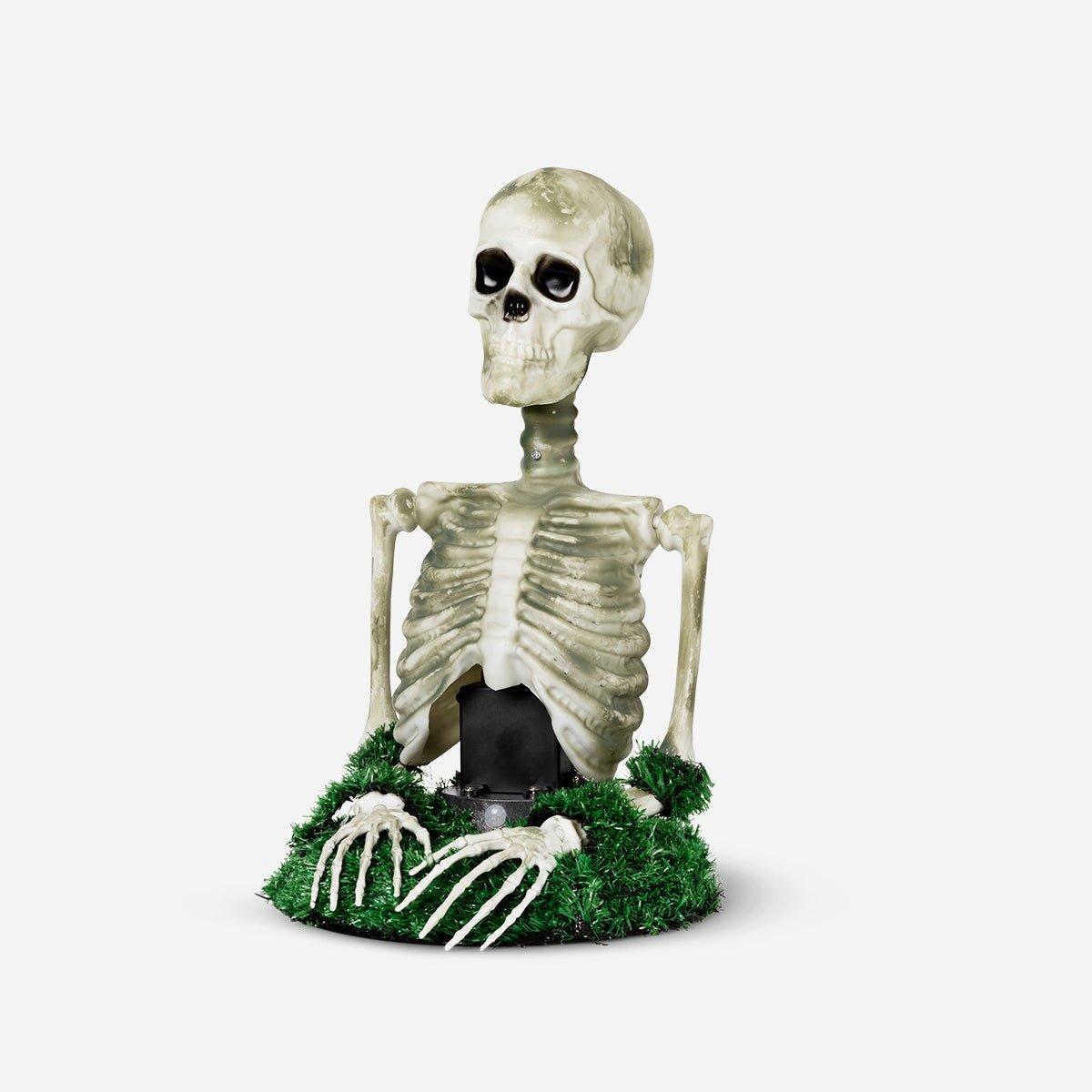 Multicolour Skeleton Moving