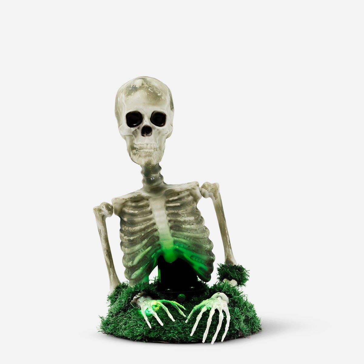 Multicolour Skeleton Moving