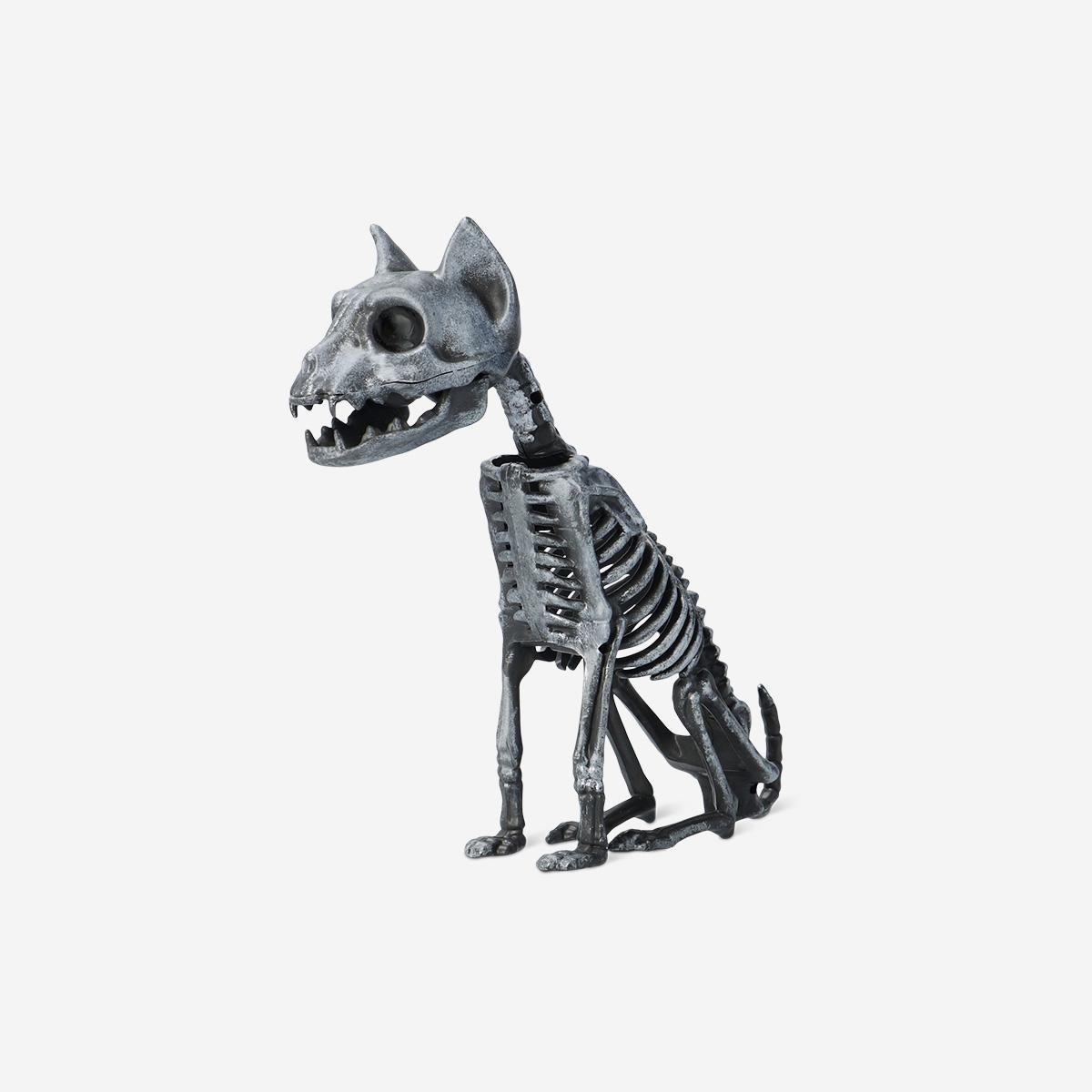 Black Skeleton Cat