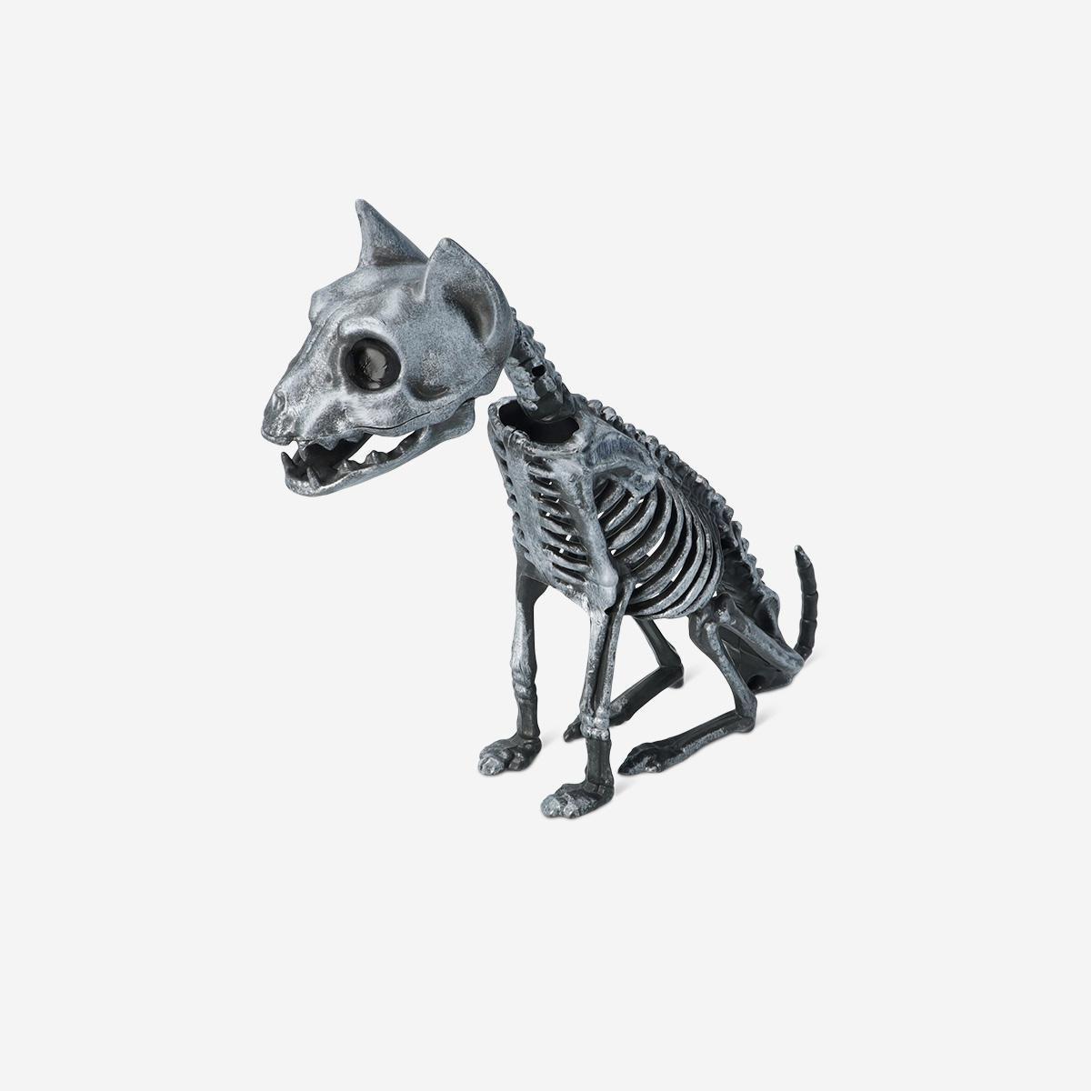Black Skeleton Cat