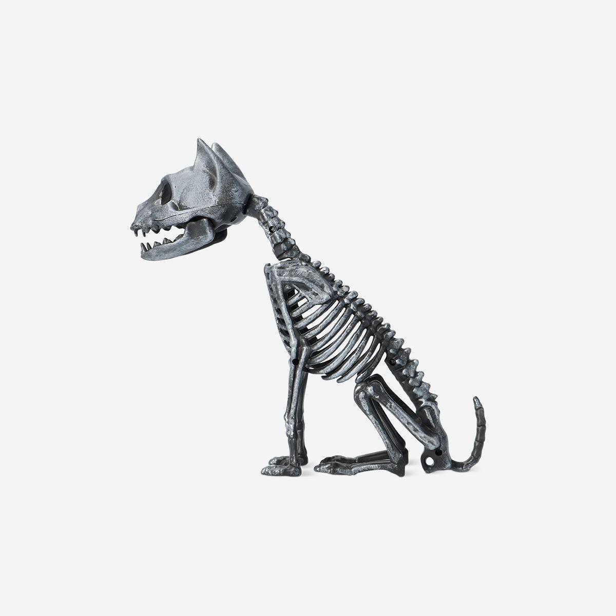 Black Skeleton Cat