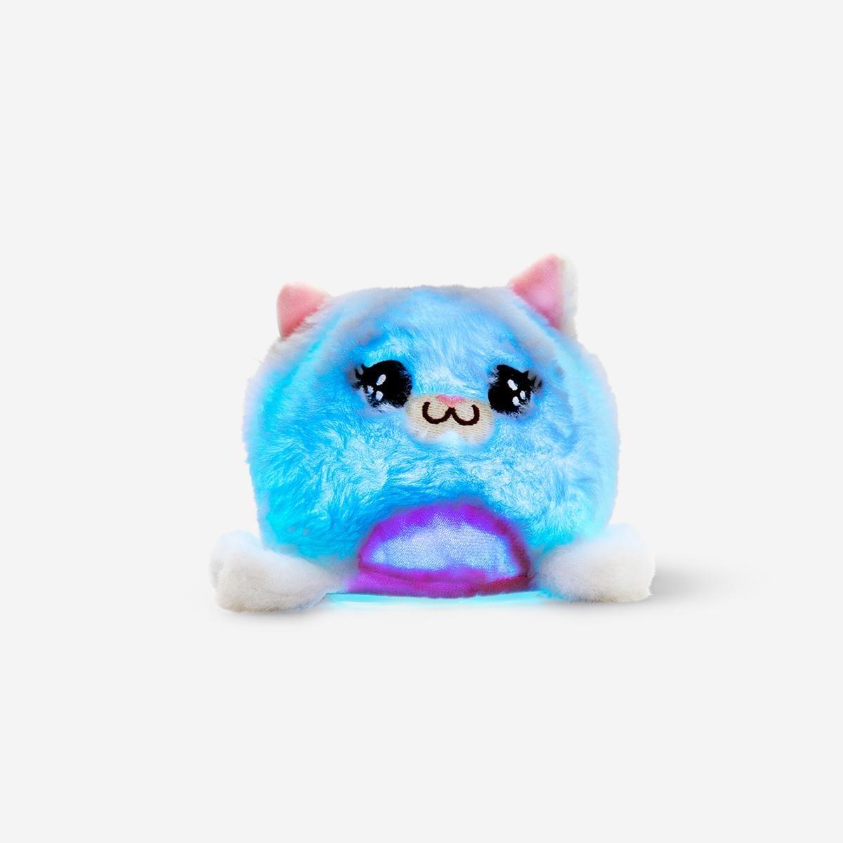 Multicolour Clairvoyant light Up Cat