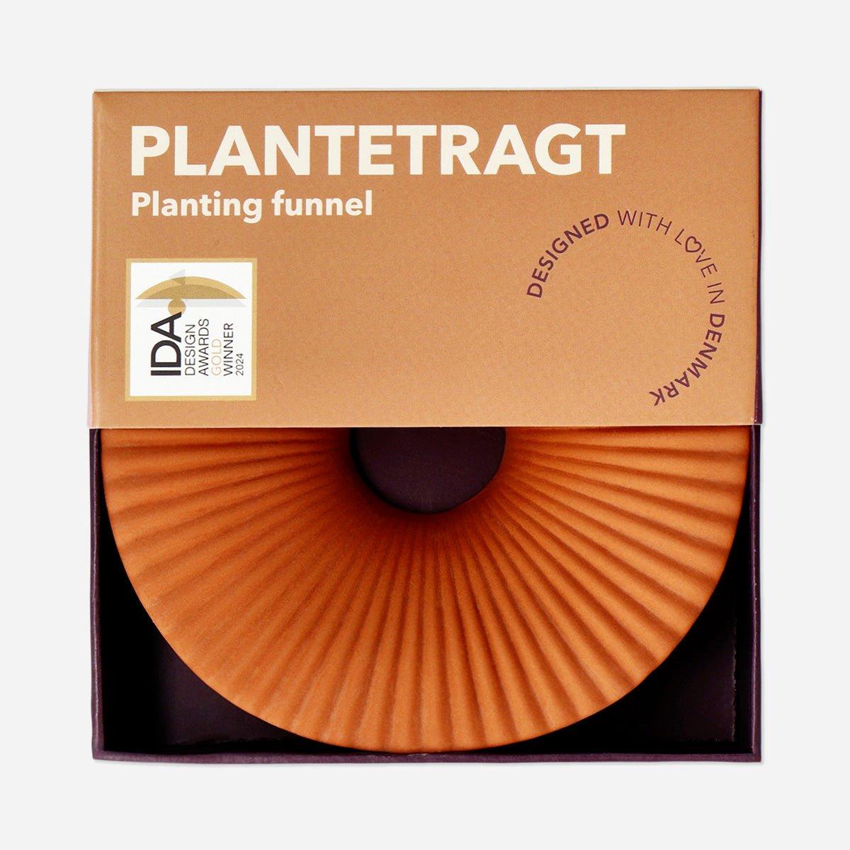 Orange Terracotta Avocado Grower - 11 Cm